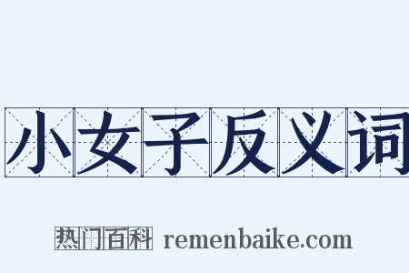 小女子反义词是什么意思的图片